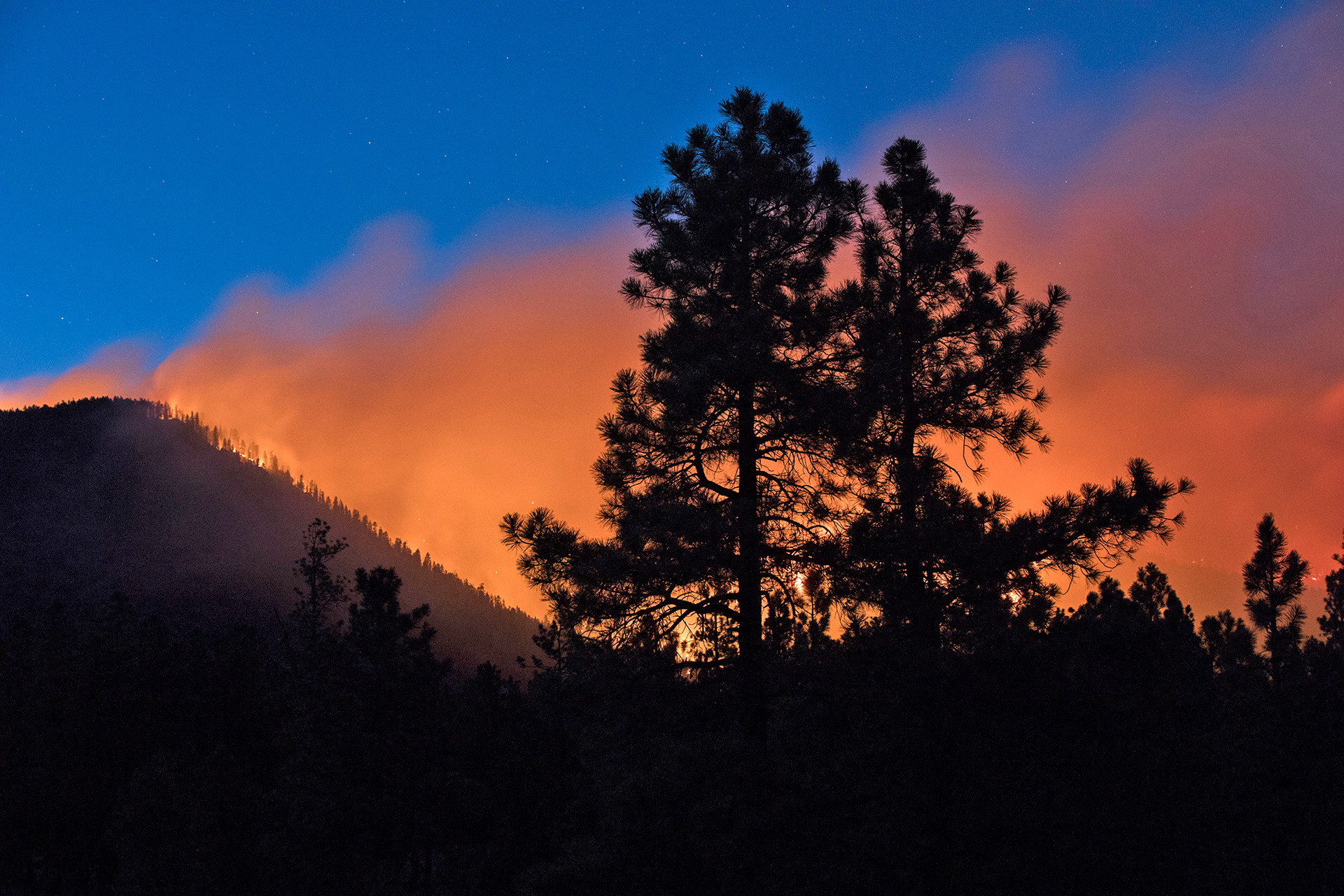 Đám cháy kinh hoàng ở vùng núi Flagstaff, Arizona, bang Colorado. Ảnh: AP.