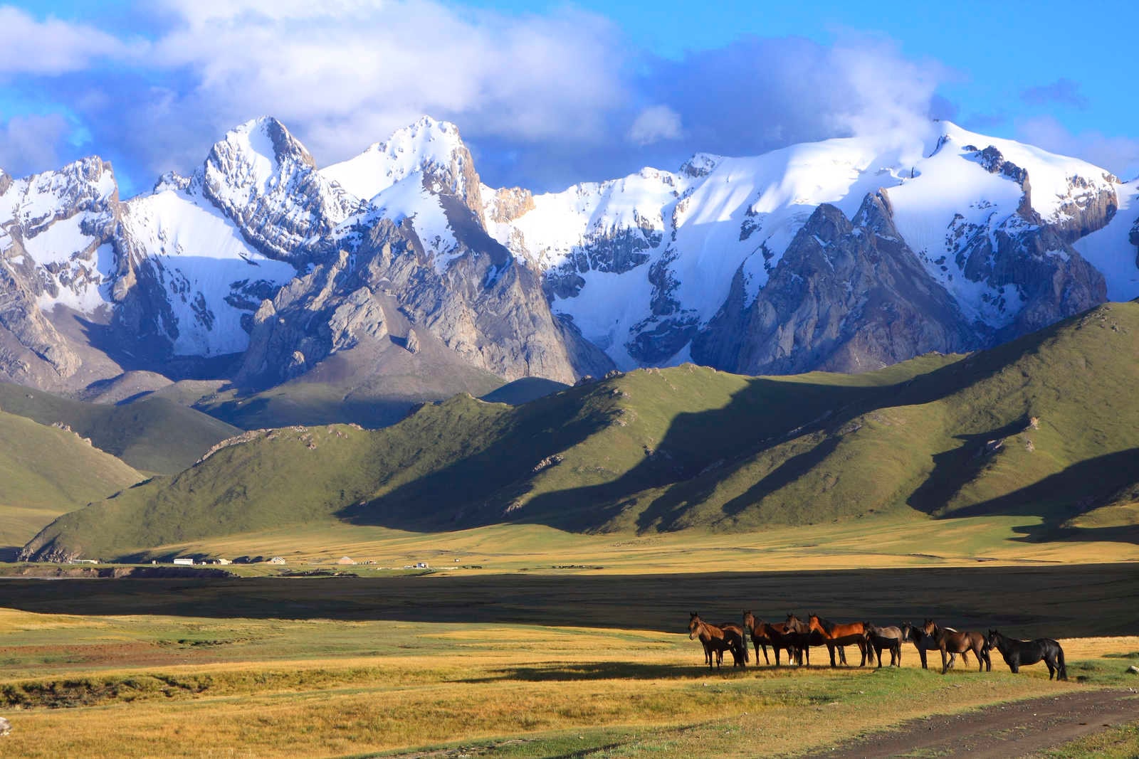 Vùng núi Tian Shan ở Kyrgyzstan, nơi các nhà khoa học xác định được nguồn gốc của đại dịch Cái chết Đen. Ảnh: CNN.