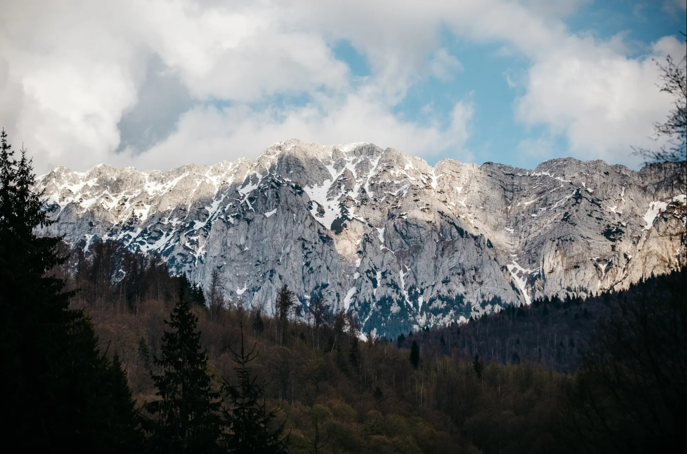 FCC đang tìm cách xây dựng lại những vùng đất rộng lớn ở vùng núi Făgăraș, dãy núi cao nhất của phía nam Carpathians. Ảnh: The Guardian.