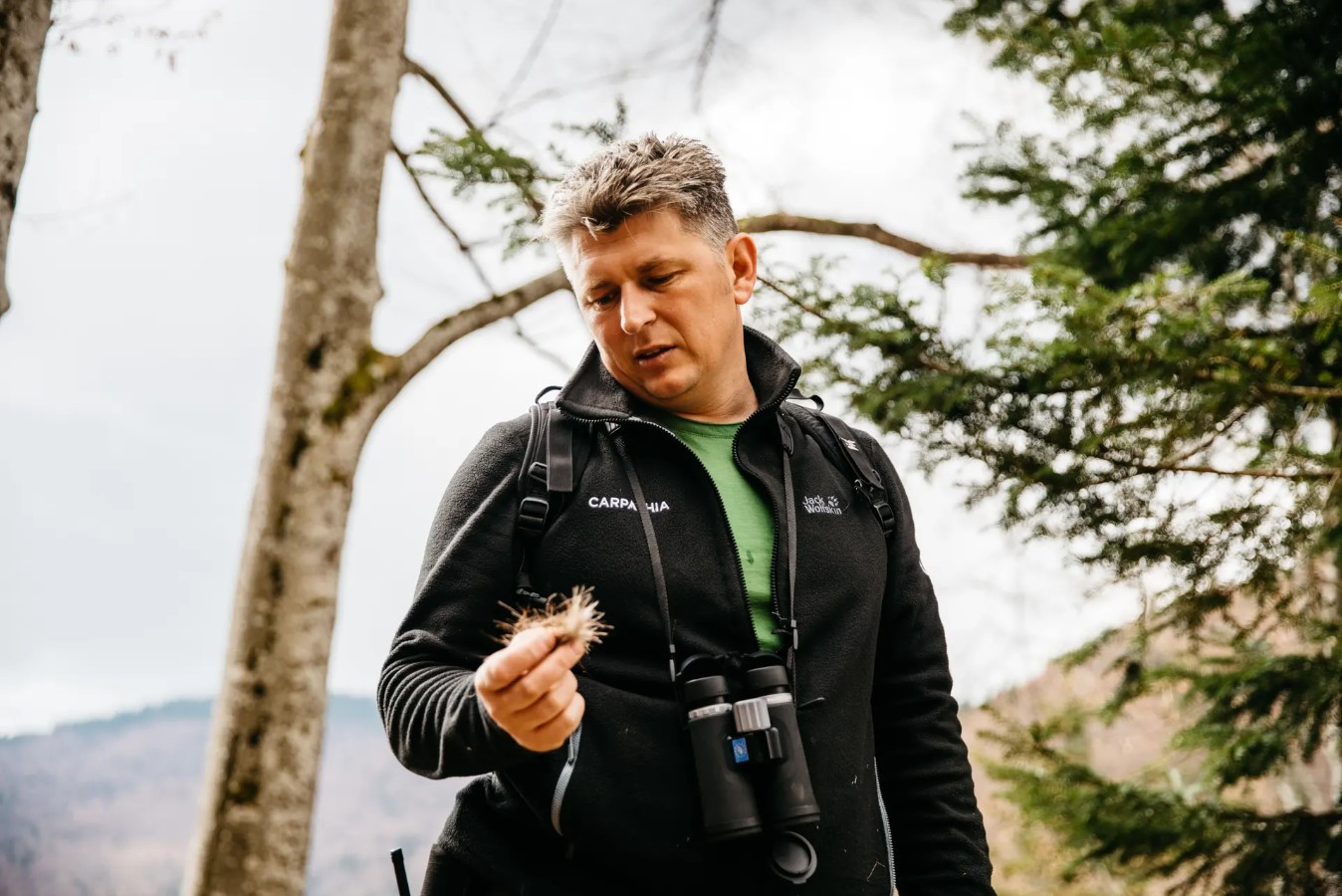 Adrian Aldea, nhà sinh vật học và quản lý động vật hoang dã của FCC, người dẫn đầu nhóm, kiểm tra một số lông thú được tìm thấy trên đường mòn. Ảnh: The Guardian.