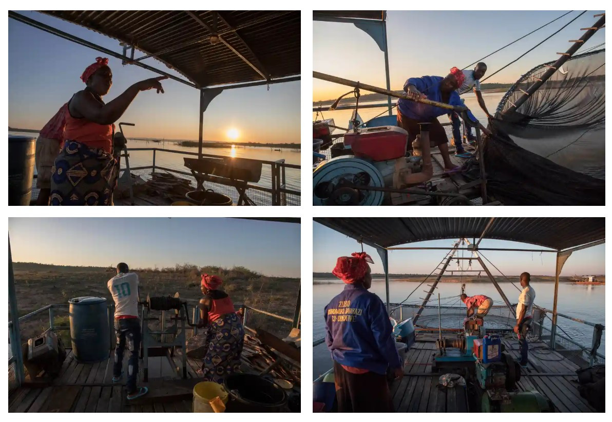 Người dân đánh cá khi trên hồ Kariba. Ảnh: The Guardian.