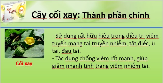 Cây cối xay tốt cho người bị ù tai, nghe kém.