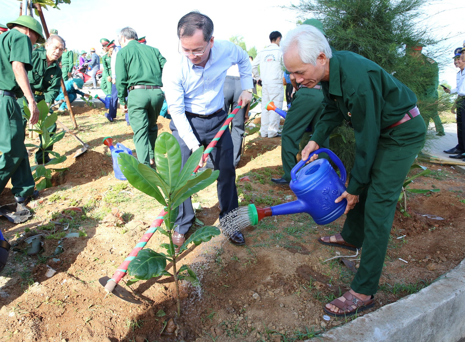  BSR tổ chức trồng cây tại huyện đảo Lý Sơn.