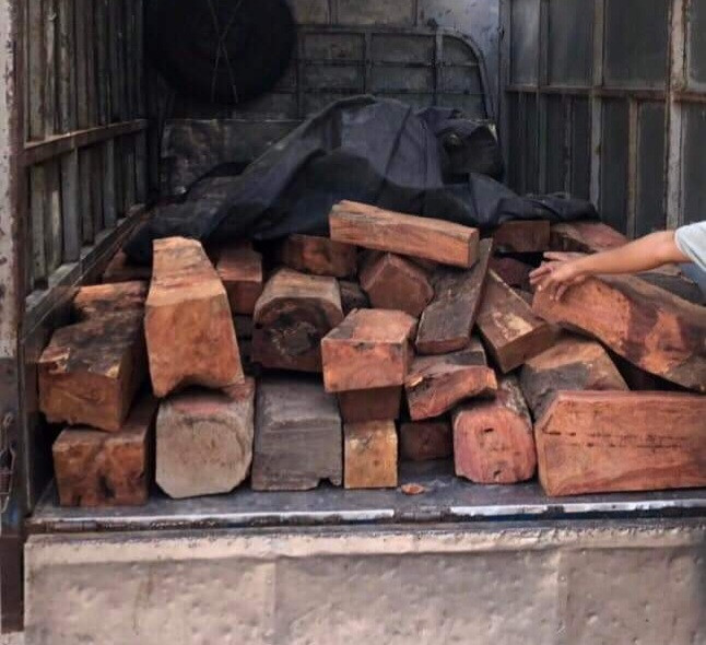 Lực lượng chức năng phát hiện tài xế chở 1,5 tấn gỗ hương tía không rõ nguồn gốc.