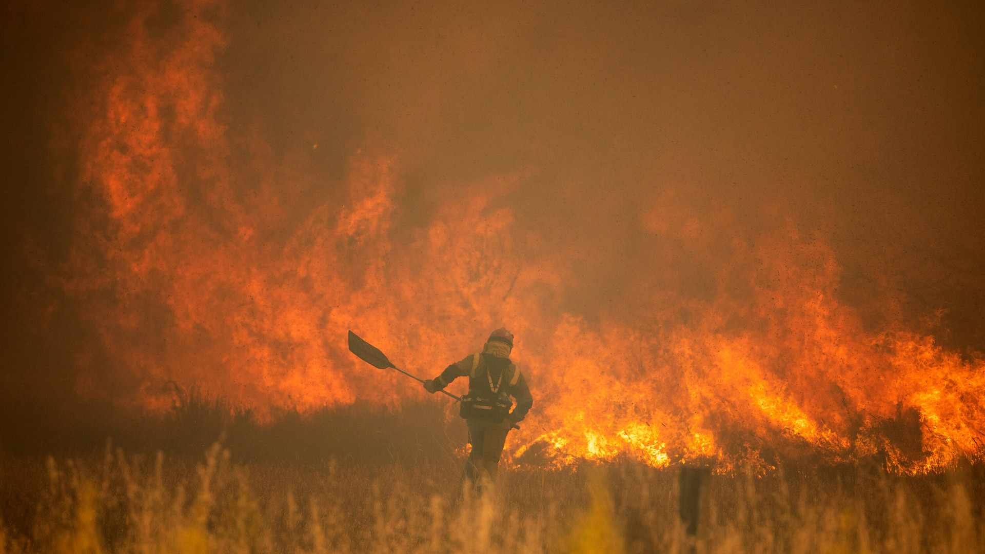 Cháy rừng xảy ra với tần suất lớn khi thời tiết nắng nóng kéo dài. Ảnh: NYT.