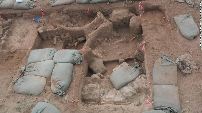 Địa điểm khai quật chứa xương gãy từ hộp sọ, xương sống và xương sườn của voi ma mút. Ảnh: CNN.