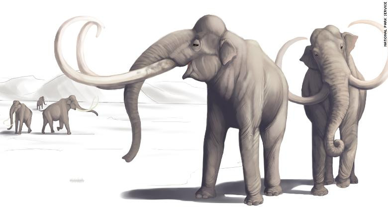Hình minh họa này mô tả những con voi ma mút trông như thế nào từ hàng nghìn năm trước. Ảnh: CNN.