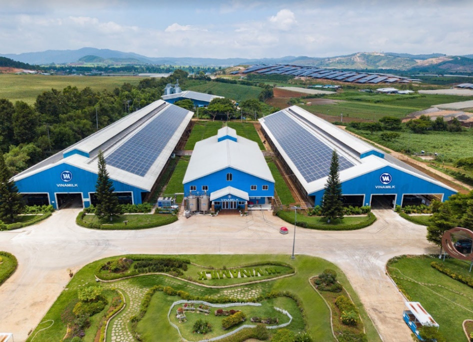 Năng lượng mặt trời đã được đưa vào sử dụng tại Trang trại bò sữa Organic Đà Lạt từ năm 2017 đến nay.