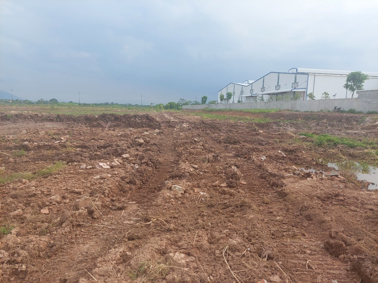 Trước việc tự ý phá mương thuỷ lợi, nhiều ha lúa có nguy cơ gặp hạn, hàng loạt cơ quan của tỉnh Phú Thọ đã vào cuộc.