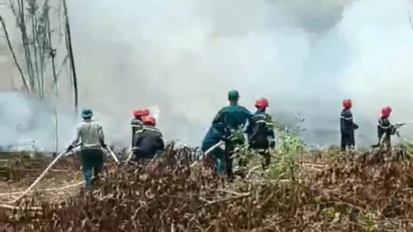 Trên đường trở về sau khi hoàn thành diễn tập, lực lượng thuộc Phòng Cảnh sát PCCC và CNCH Công an tỉnh Quảng Trị nhận được tin đám cháy rừng tại xã Vĩnh Sơn.