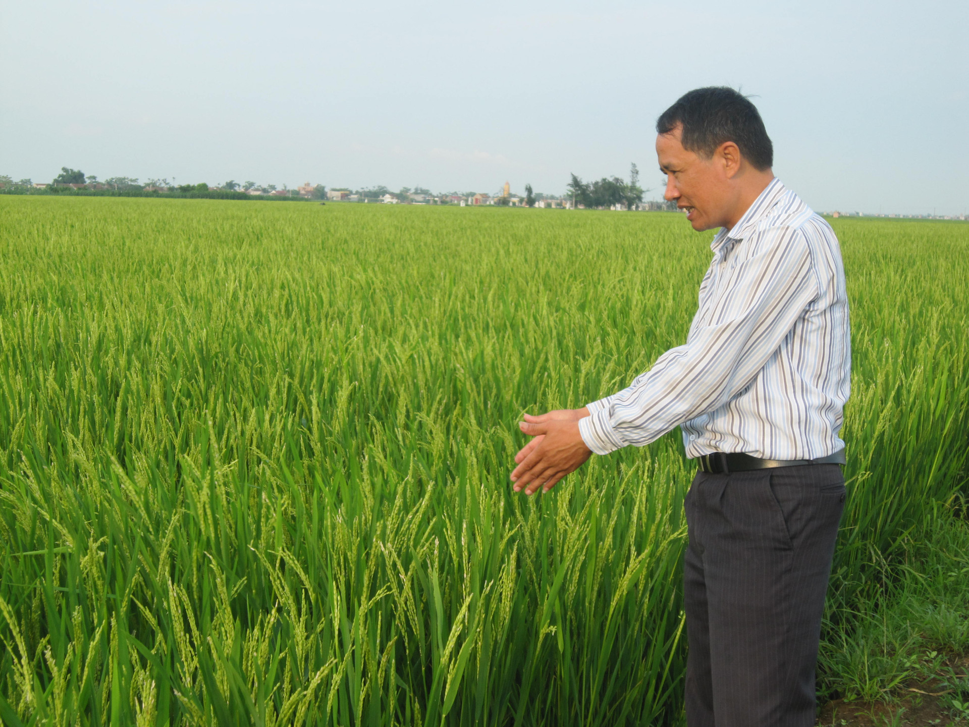 Ông Đoàn Văn Sáu, giáo dân ở xã Trực Hùng, huyện Trực Ninh-người đã gây dựng, duy trì mô hình liên kết sản xuất nông nghiệp hiệu quả nhiều năm qua ở Nam Định.