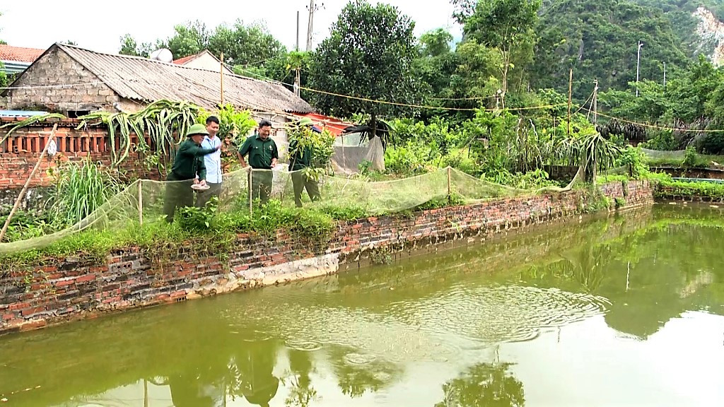 CCB Lương Ngọc Thanh chia sẻ kinh nghiệm xây dựng vườn mẫu phát triển kinh tế với các hội viên cựu chiến binh.