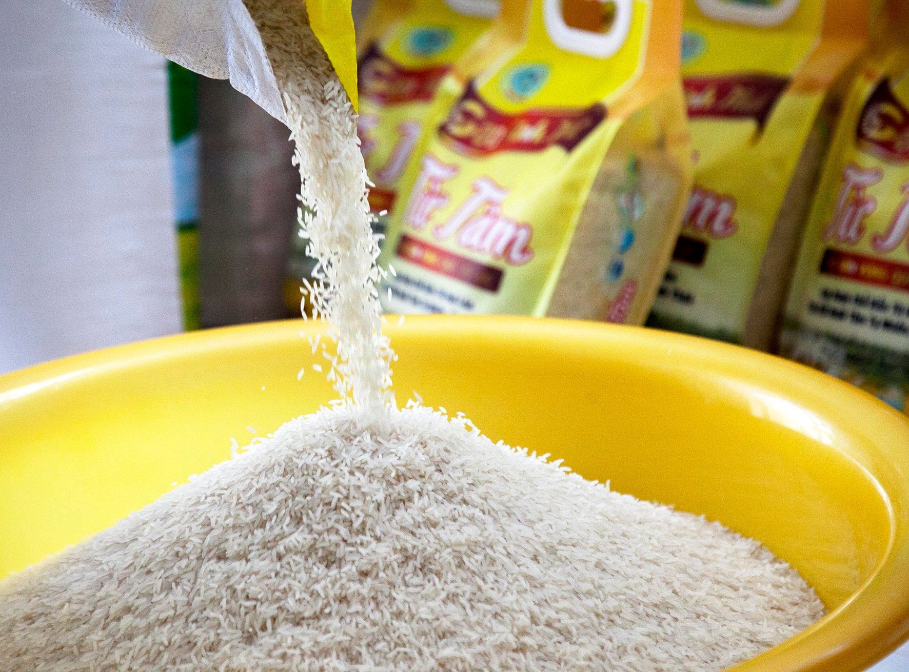 Nhiều DN Việt bắt tay sản xuất gạo chất lượng cao.