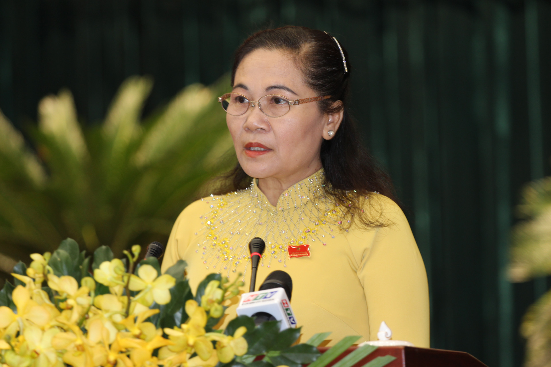 Bà Nguyễn Thị Lệ phát biểu tại kỳ họp chuyên đề.
