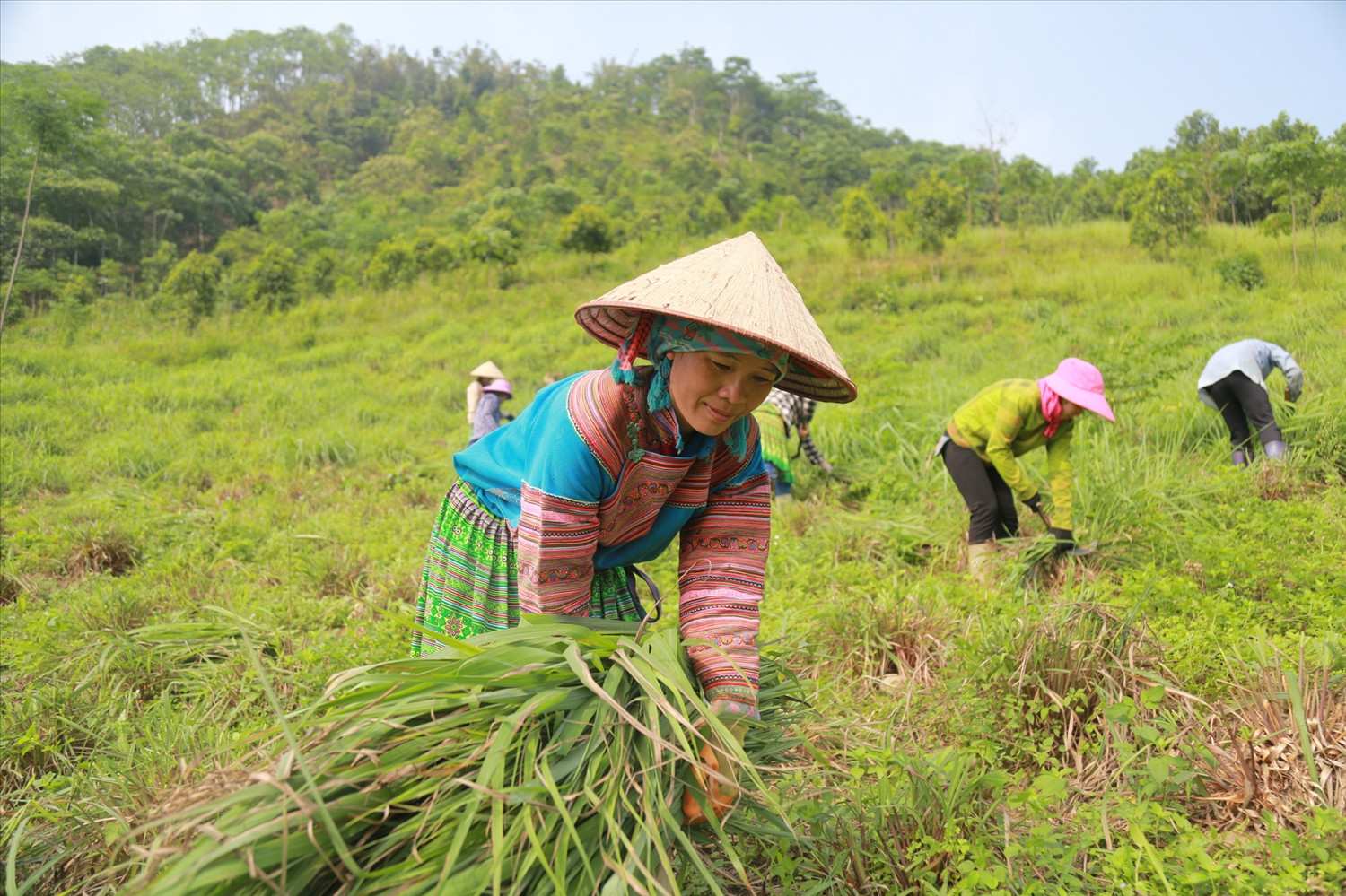 Tỉnh Lào Cai đã và đang có nhiều cách làm sáng tạo, linh hoạt trong công tác giảm nghèo.