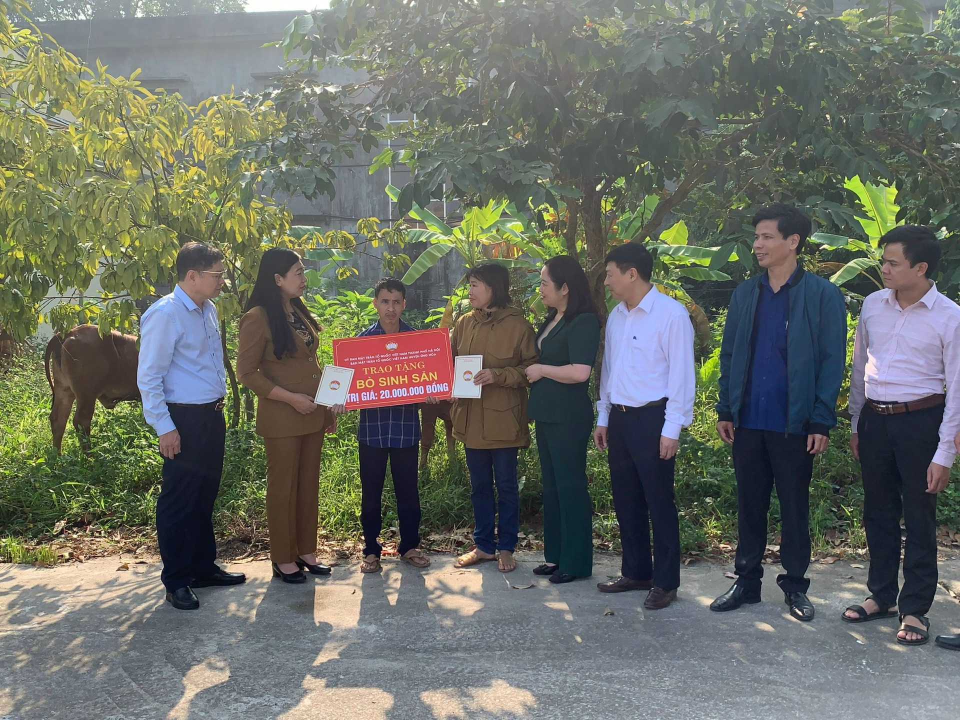 Chủ tịch Ủy ban MTTQ Việt Nam thành phố Hà Nội Nguyễn Lan Hương cùng cán bộ huyện Ứng hòa bàn giao bò sinh sản cho các hộ cận nghèo xã Viên Nội.