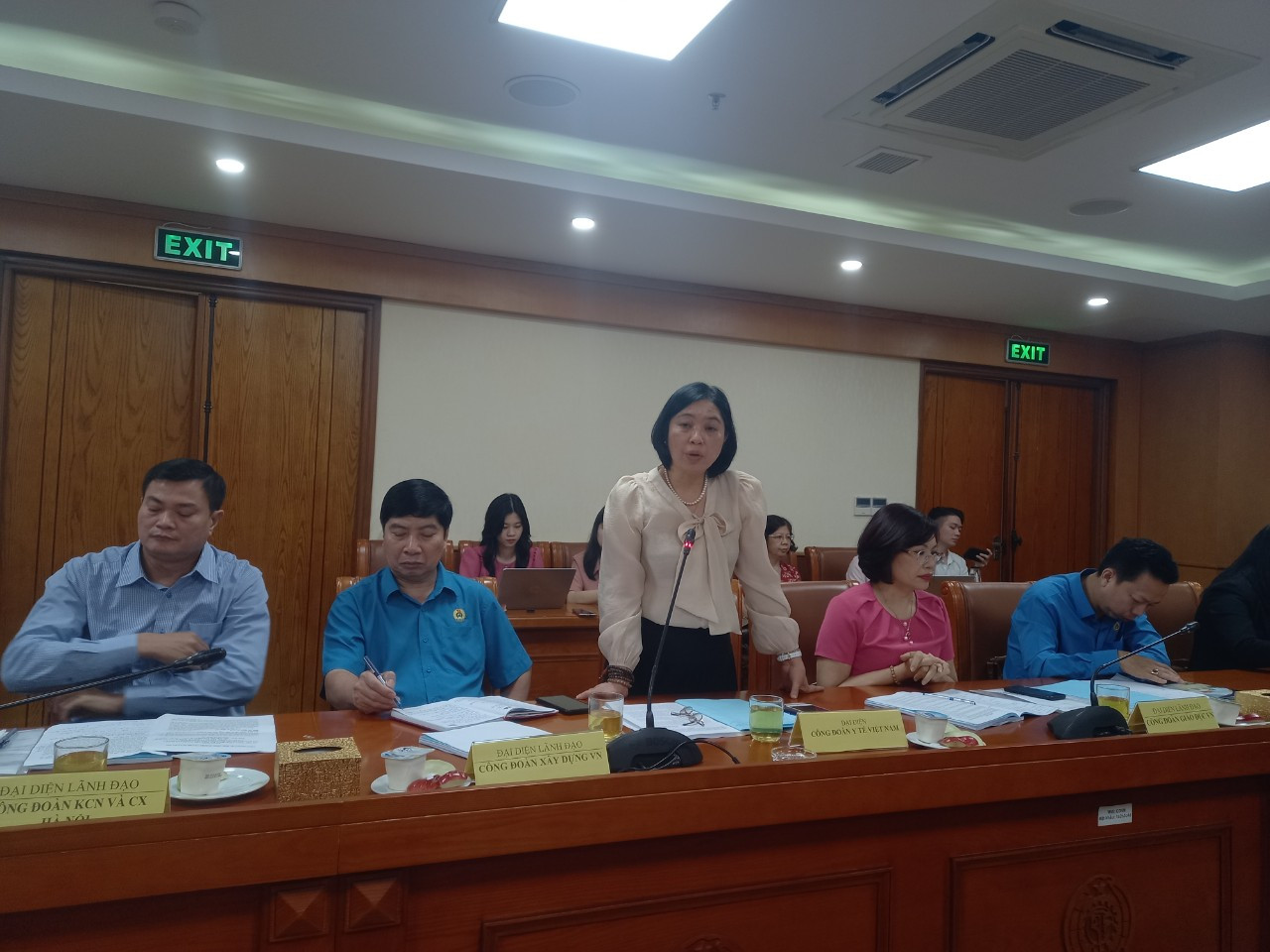 Bà Phạm Thị Thanh Thủy, Phó Chủ tịch Công đoàn ngành y tế phát biểu tại hội thảo.
