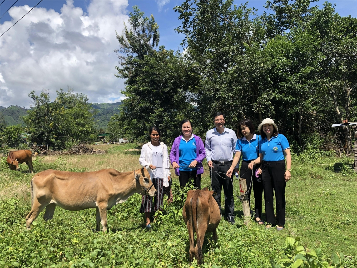 Tổ hợp tác chăn nuôi bò sinh sản của phụ nữ dân tộc Rơ Măm ở Làng Le, xã Mô Rai, huyện Sa Thầy (Ảnh Ban dân tộc  tỉnh Kon Tum).