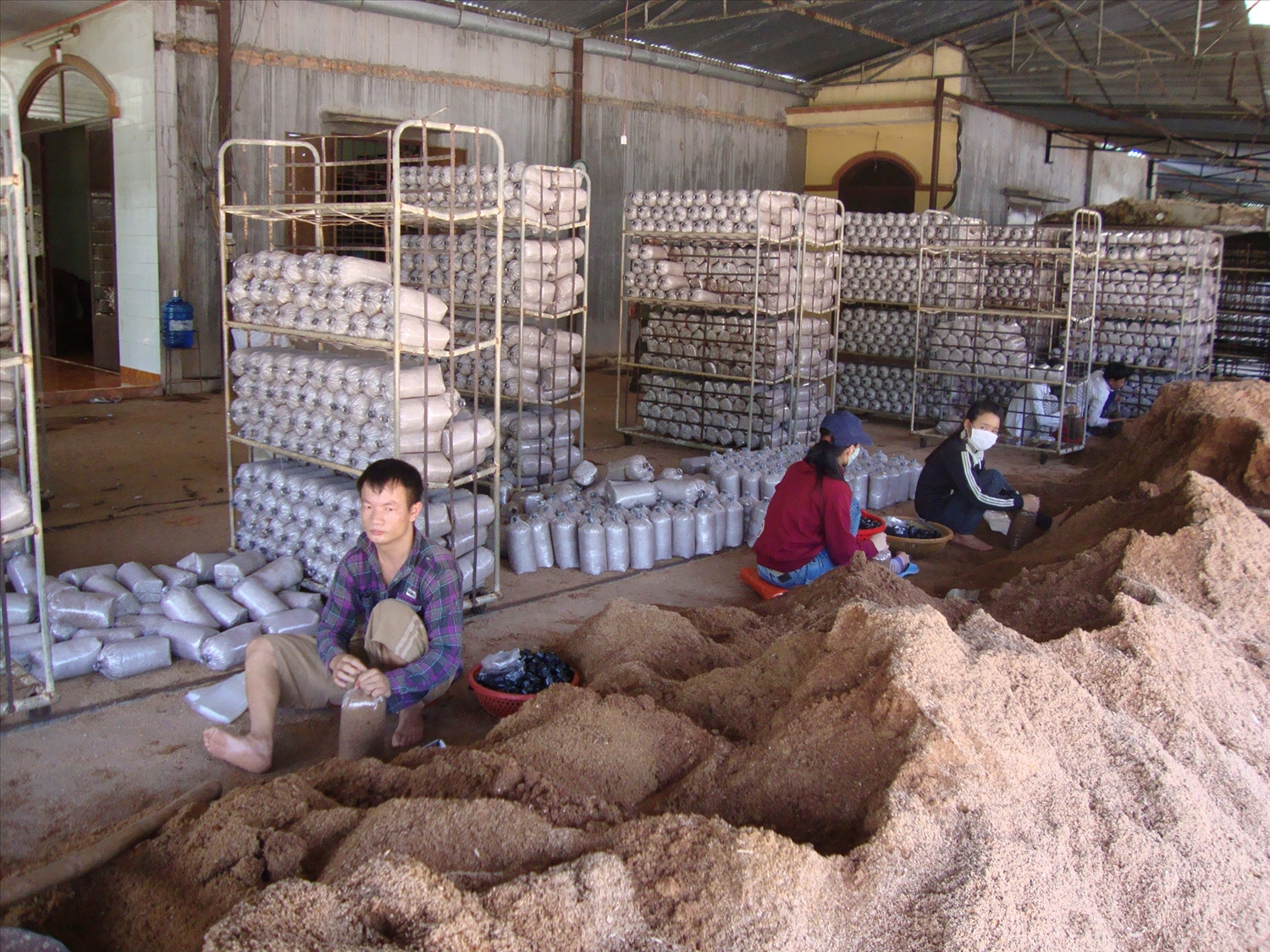 Nhiều trang trại ở Bình Phước thu hút lao động địa phương tới làm việc với thu nhập ổn định.