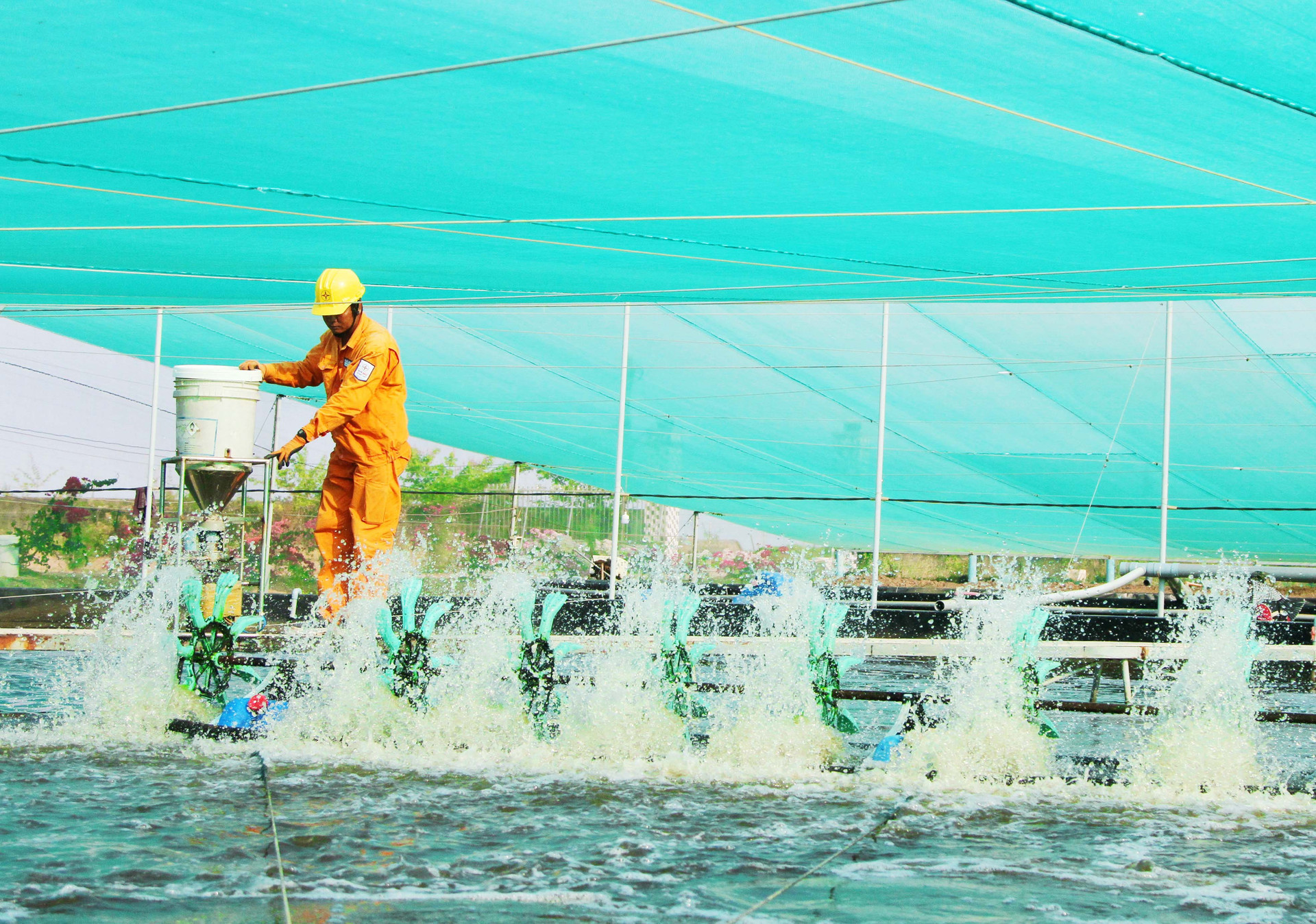 Cung cấp và đảm bảo nguồn điện phục vụ công tác nuôi trồng thủy sản.