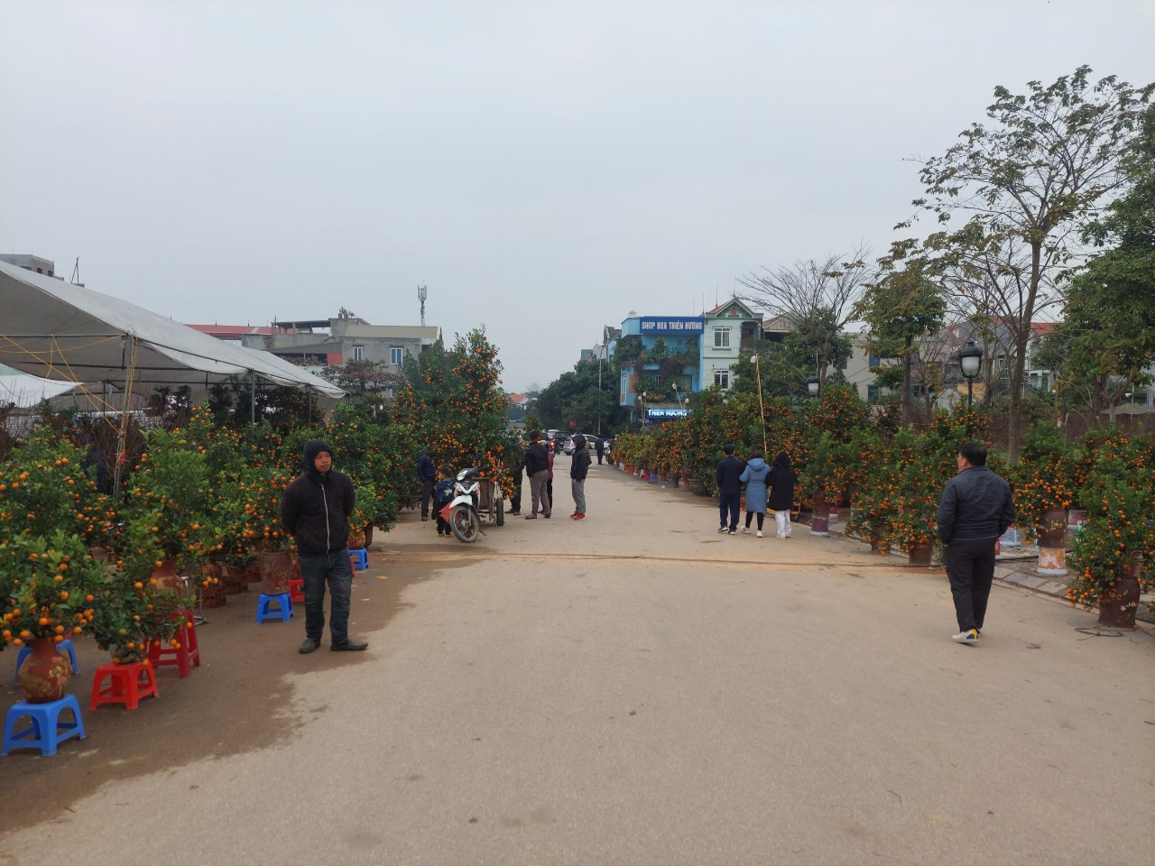 Chợ hoa Việt Trì nằm cạnh Quảng trường Hùng Vương những ngày này lượng khách đến khá thưa thớt