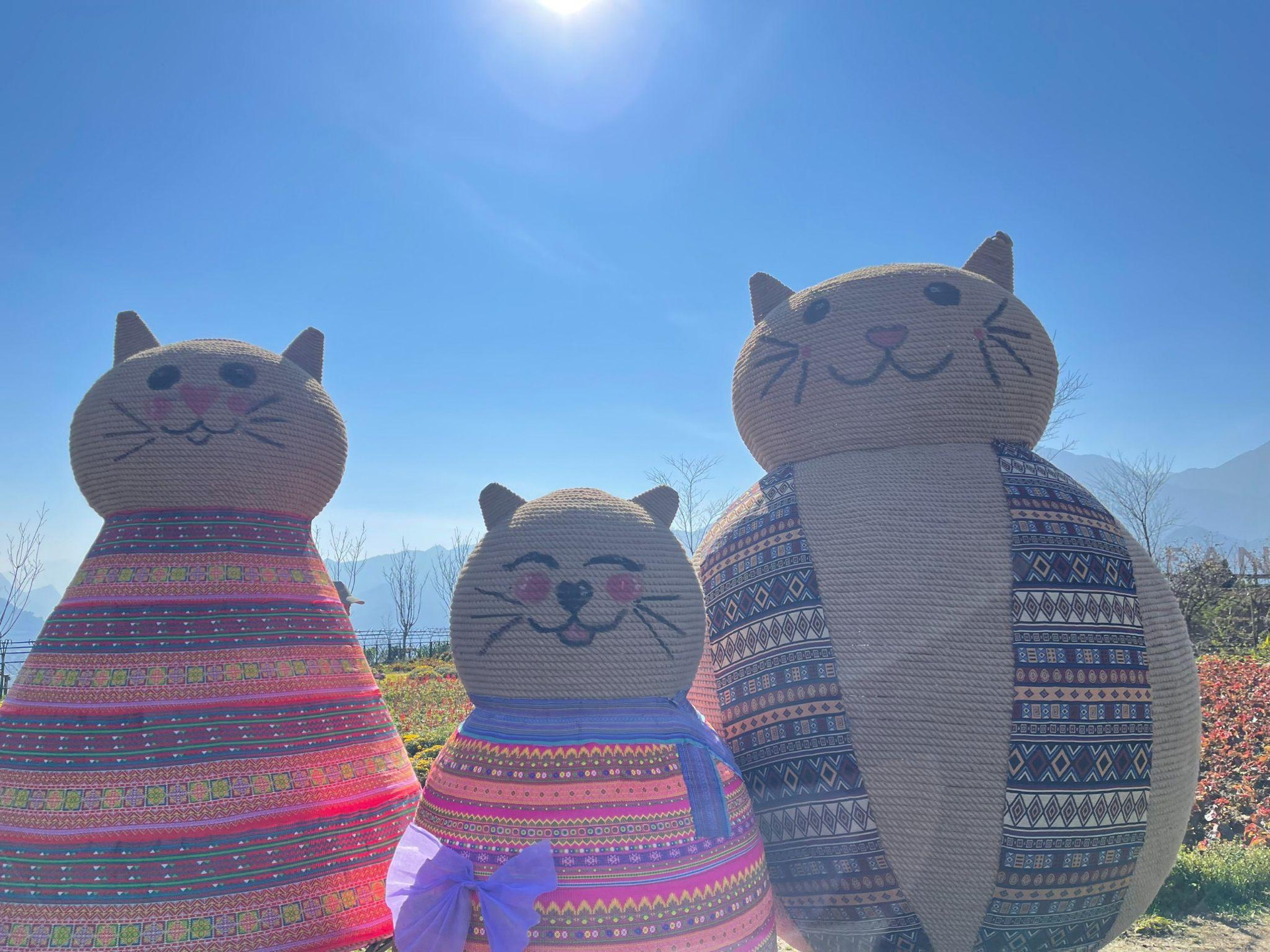 Tiểu cảnh gia đình mèo trong trang phục thổ cẩm của đồng bào dân tộc tại Sa Pa.