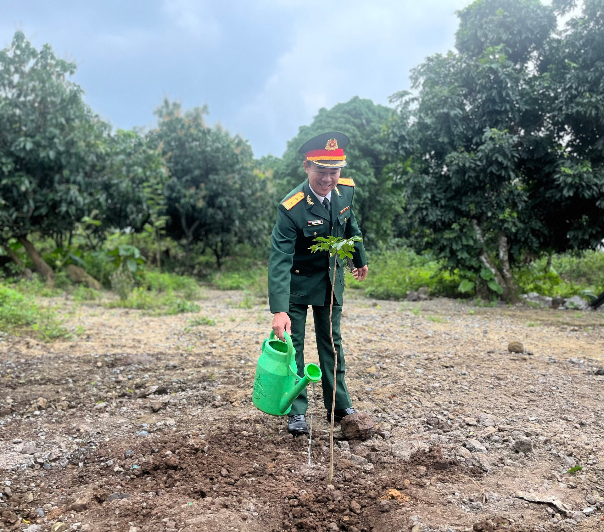 400 cây xanh các loại xà cừ, mù u, phong ba được trồng tại tuyến đường T3, các tuyến đường trên đảo và trồng xen kẻ trên đảo.
