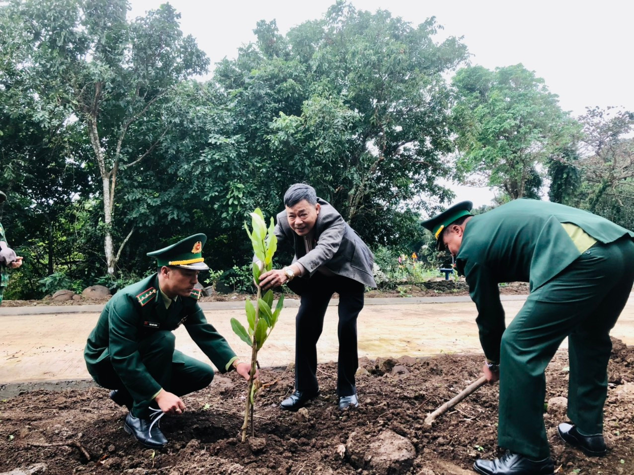 Cũng theo ông Võ Viết Cường, những năm gần đây, ngoài việc trồng cây bản địa, trên địa bàn huyện đảo tổ chức trồng thử nghiệm một số loại cây mang từ trong đất liền ra.