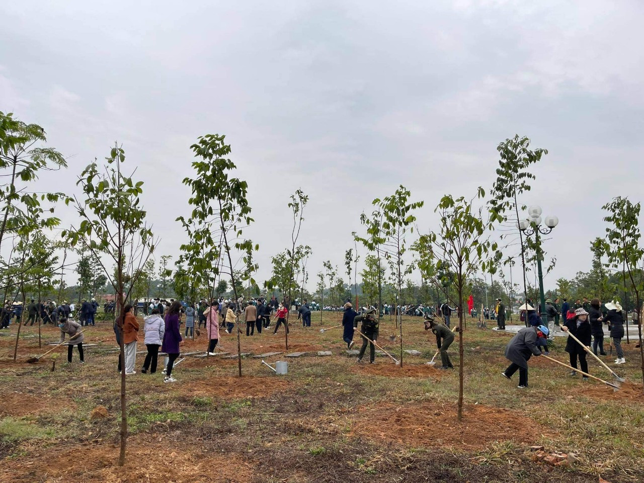 Lễ phát động Tết trồng cây ở Phú Thọ thu hút nhiều người tham gia