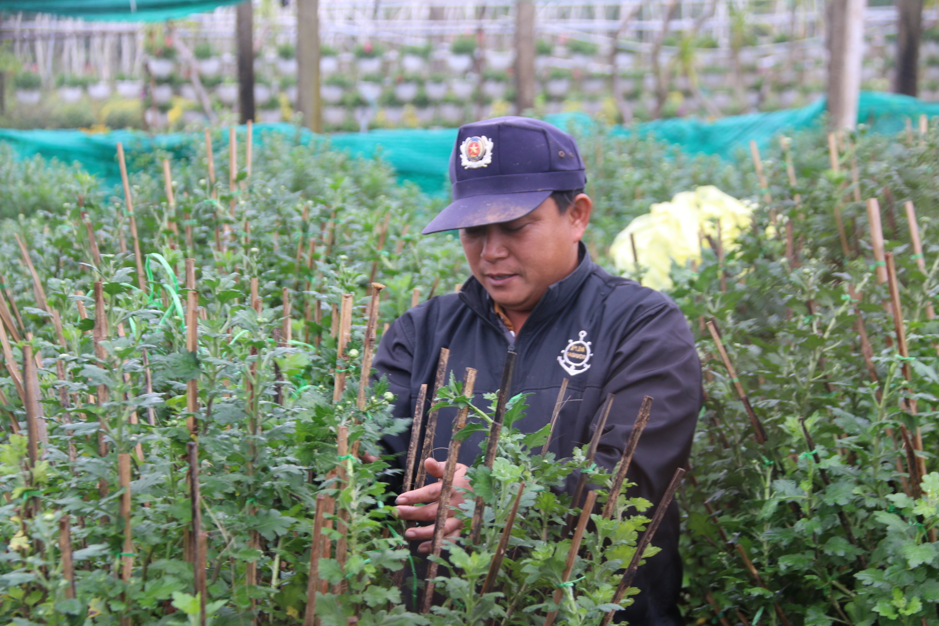 UBND TP Đông Hà chi hơn 8 tỷ đồng để xây dựng công trình Vùng trồng hoa chậu tập trung tại phường Đông Giang.