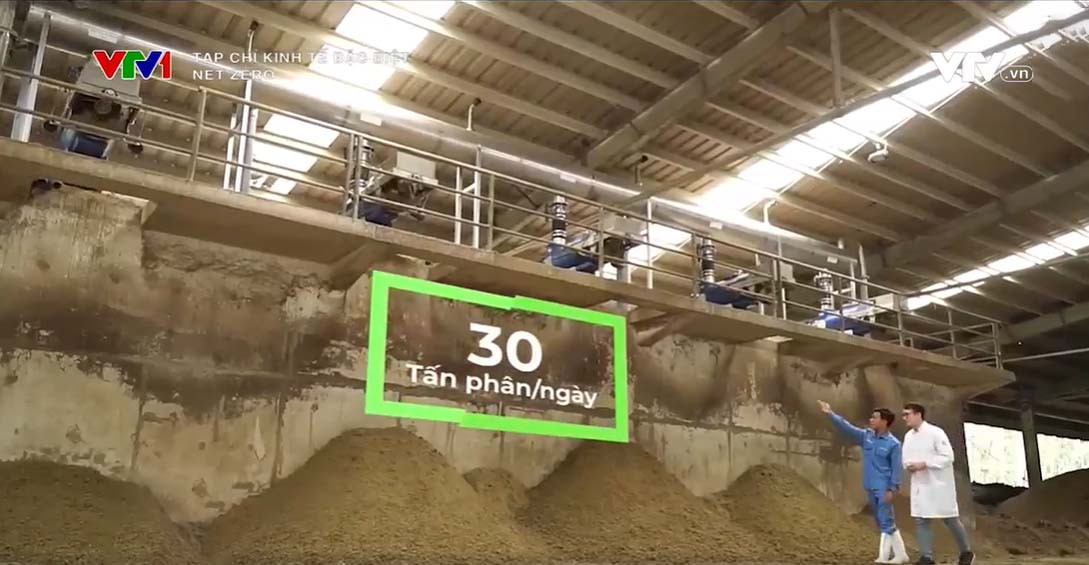 Chất thải đàn bò được xử lý thành phân bón cho đồng cỏ, hạn chế phát thải, mùi hôi, ruồi muỗi. (Nguồn: VTV Tạp chí Kinh tế Đặc biệt Net Zero).