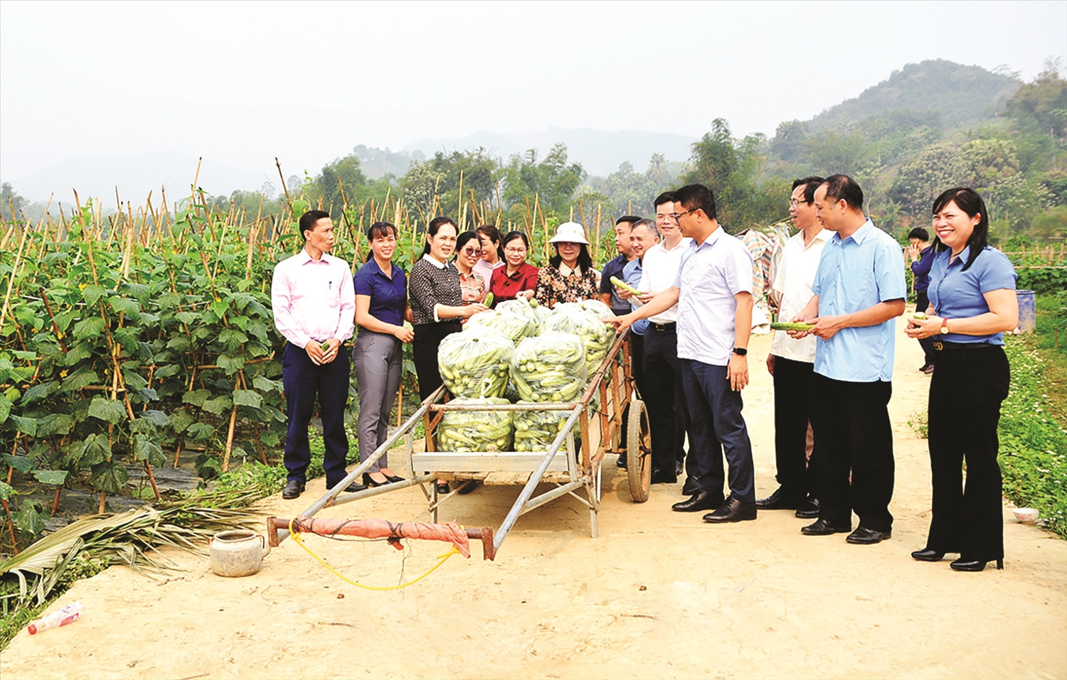 Đoàn giám sát của Ủy ban Dân tộc thăm mô hình liên kết sản xuất theo Chương trình MTQG tại thôn Loa, xã Thành Long, huyện Hàm Yên.