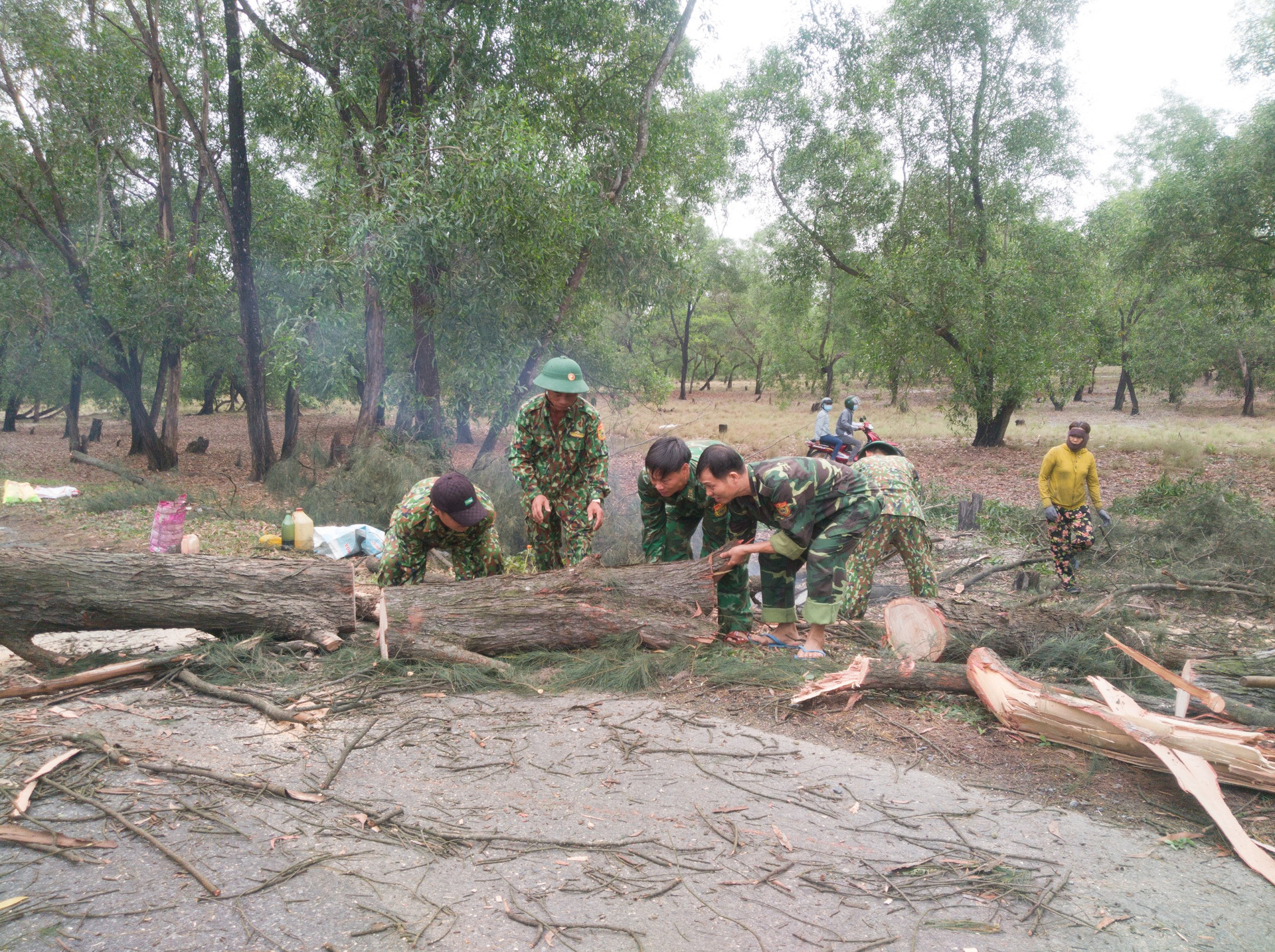 Lực lượng chức năng tiến hành khắc phục cây đổ.