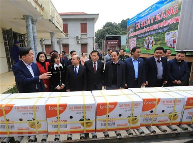 Các đại biểu tham quan dây chuyền vận chuyển sản phẩm cam Cao Phong tại Công ty Trách nhiệm hữu hạn Một thành viên Cao Phong.