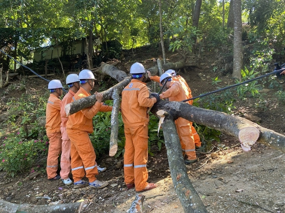 Công nhân Điện lực Mường La (PC Sơn La) thực hiện cắt bỏ phần thân cây đè lên đường dây điện.