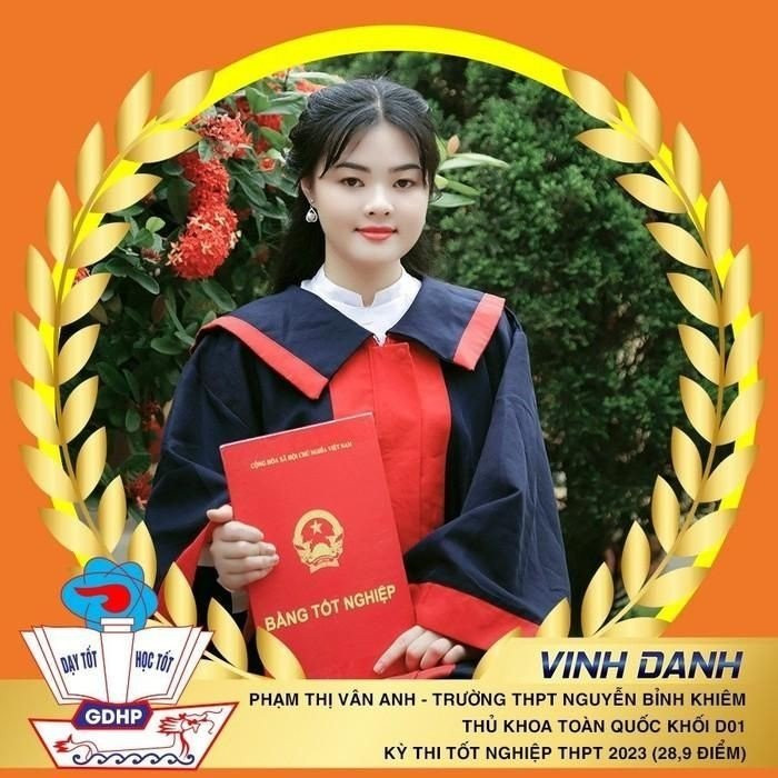 Nữ thủ khoa khối D01, Phạm Thị Vân Anh