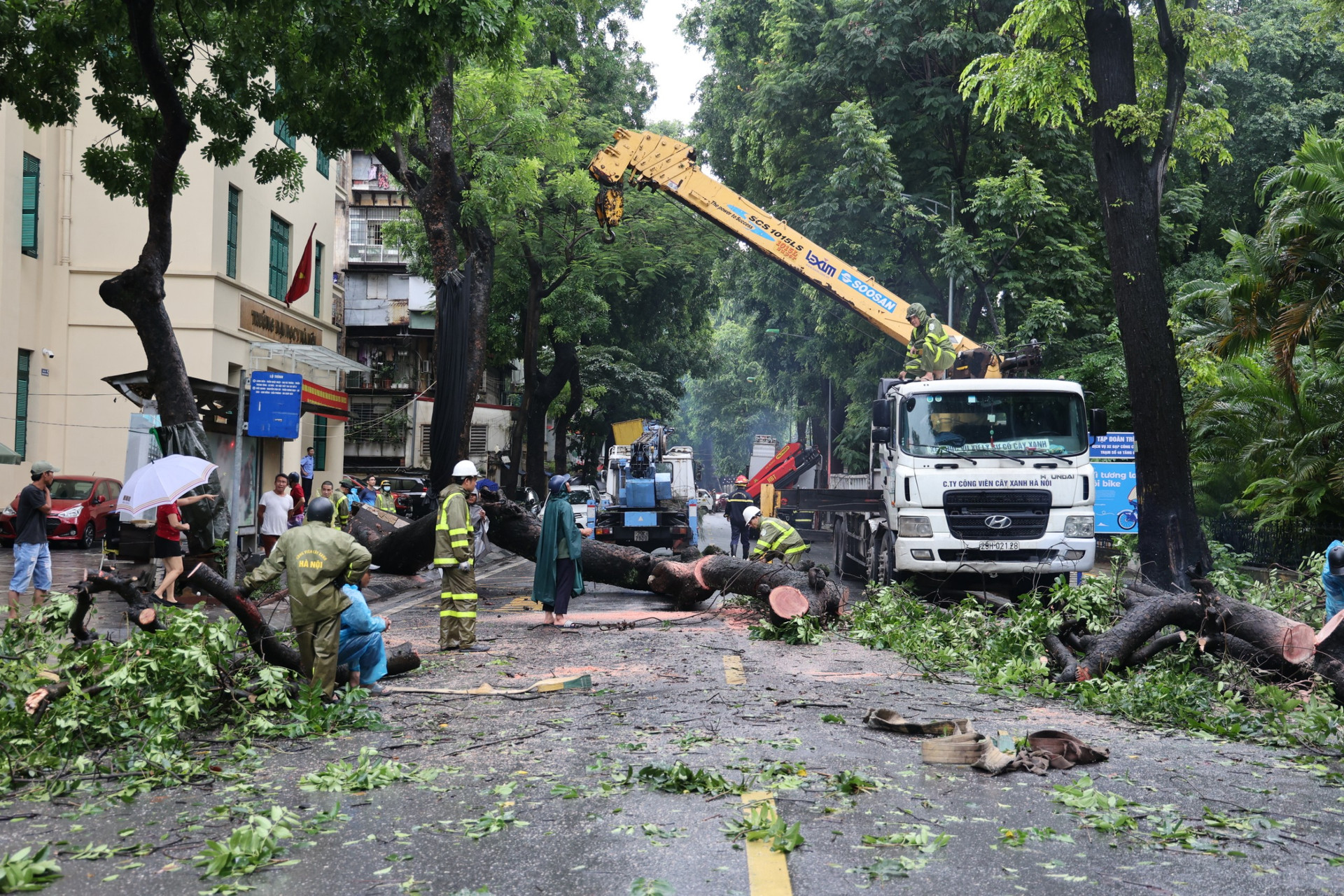 Lực lượng Cảnh sát PCCC&CNCH Công an quận Hai Bà Trưng điều động 1 xe chữa cháy, 1 xe cứu nạn cứu hộ xuống hiện trường phối hợp với Công ty TNHH MTV Công viên cây xanh Hà Nội để dọn dẹp, cắt bỏ cây