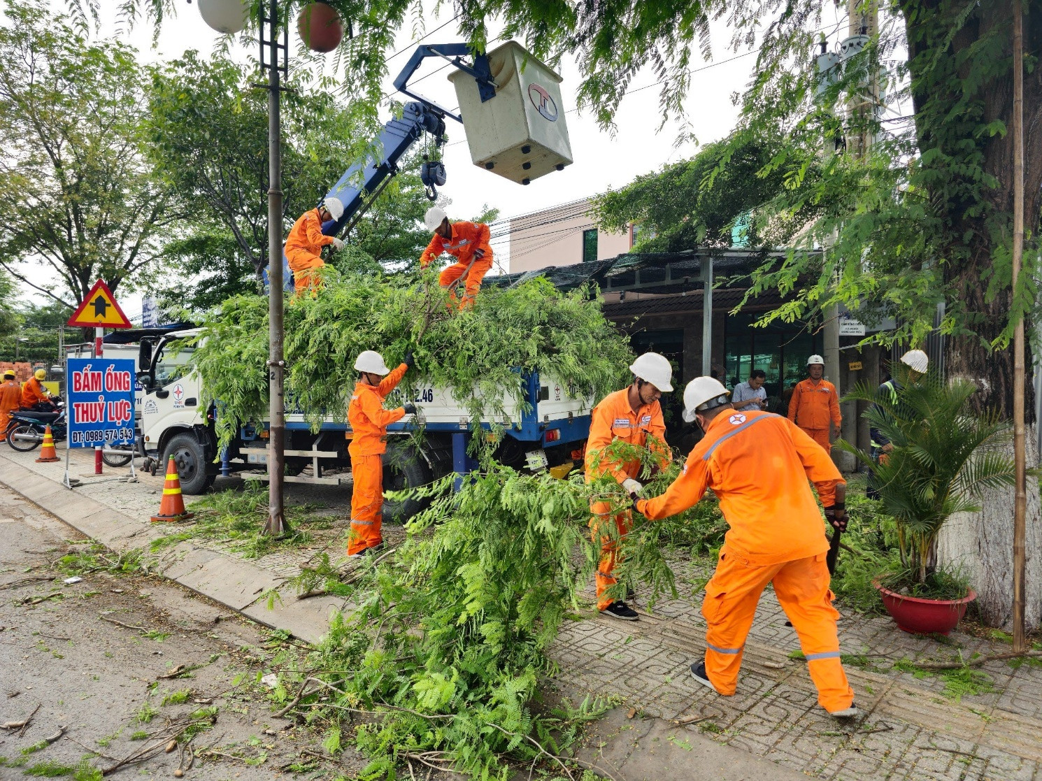 Điện lực Bến Tre phát quang cây xây để ngăn ngừa sự cố lưới điện co mưa bão.