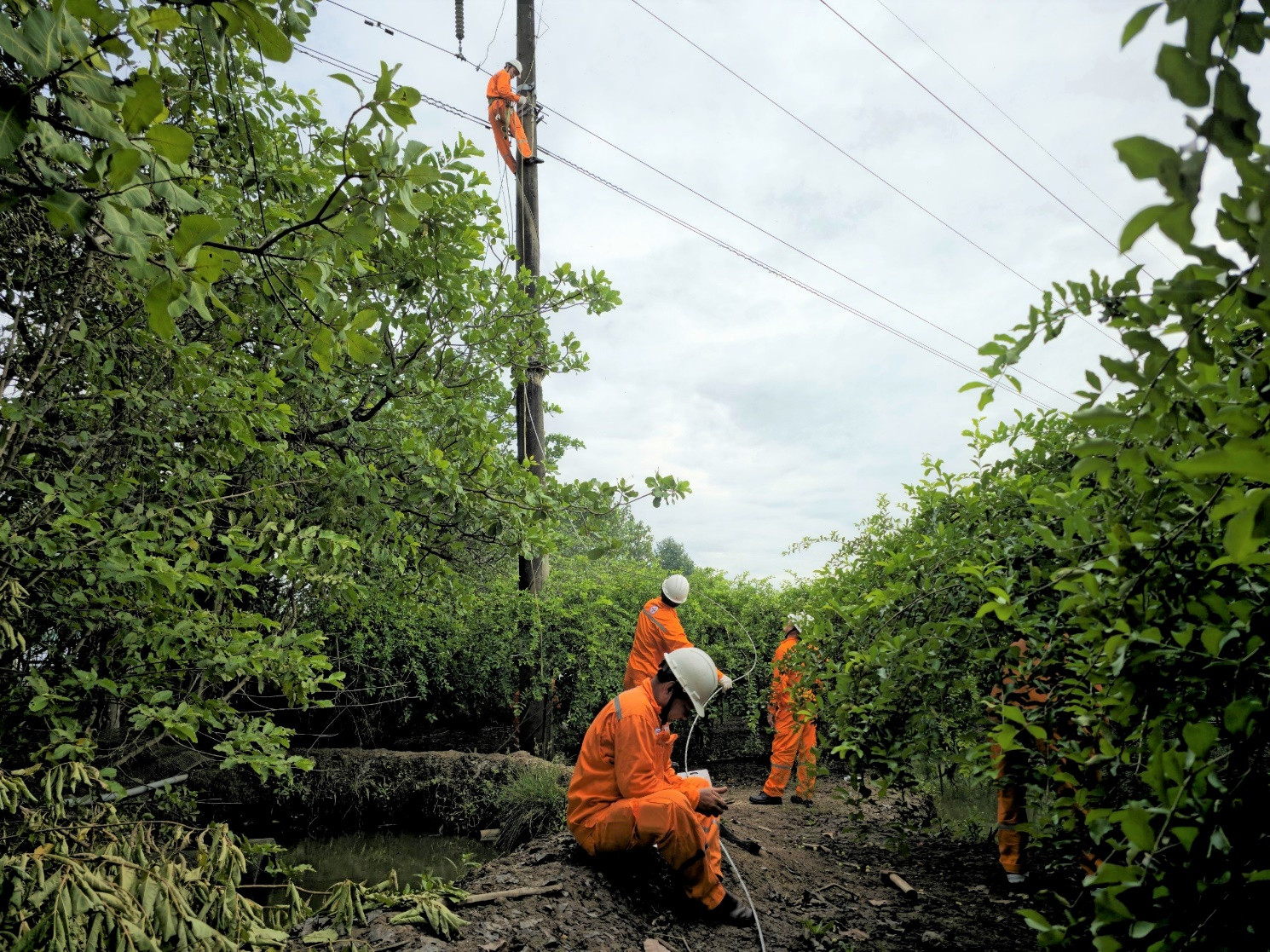 EVNSPC tổ chức diễn tập xử lý sự cố lưới điện do thiên tai tại huyện Mỏ Cày 2, tỉnh Bến Tre.