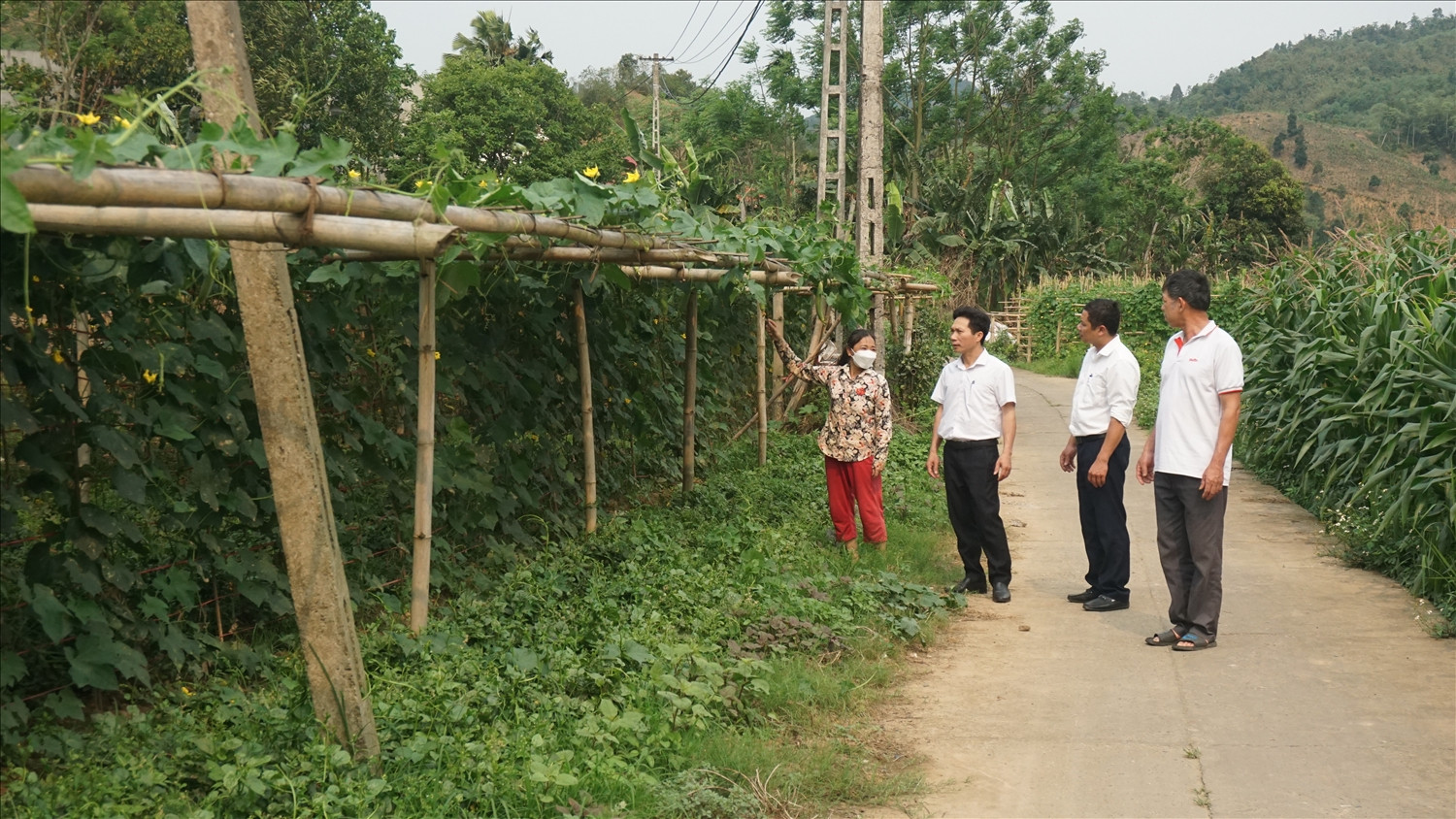 Giai đoạn 2021-2025, tỉnh Lào Cai phấn đấu giảm tỷ lệ hộ nghèo vùng đồng bào DTTS 6%/năm.