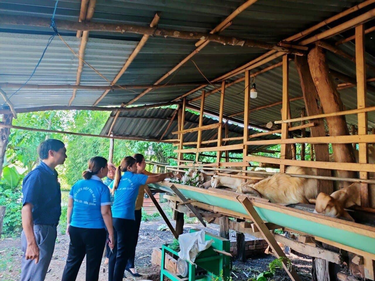 Một hộ gia đình đồng bào DTTS tại huyện Hớn Quản thoát nghèo nhờ nhận được hỗ trợ về con giống chăn nuôi.