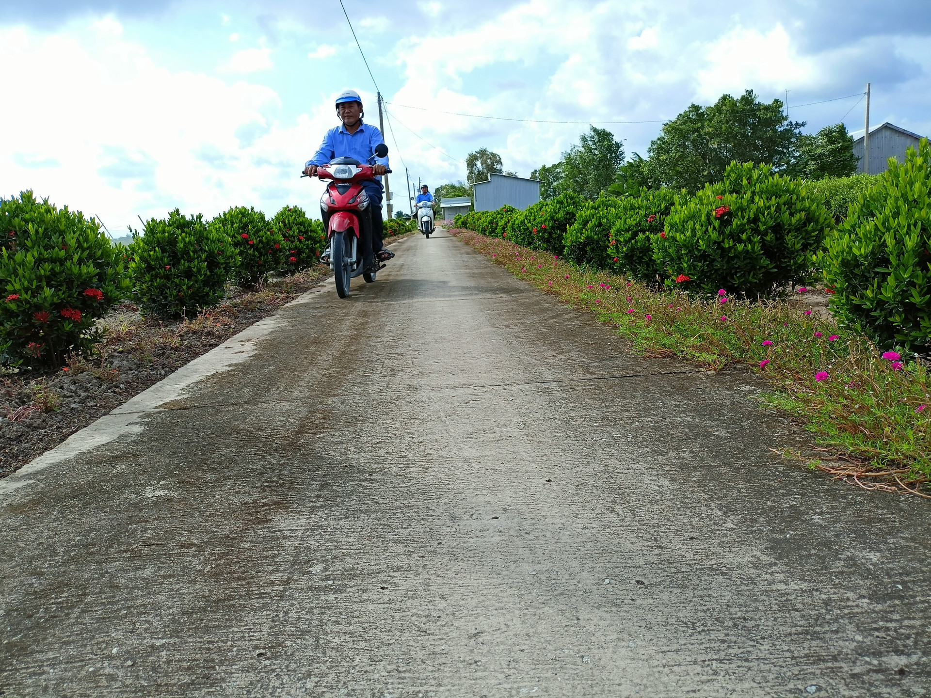 Diện mạo đường GTNT ở huyện Thới Bình.