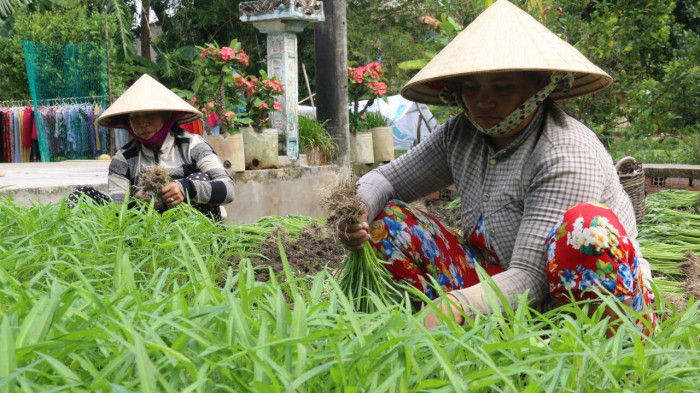 Tỉnh Kiên Giang đang tập trung hỗ trợ đồng bào dân tộc thiểu số.