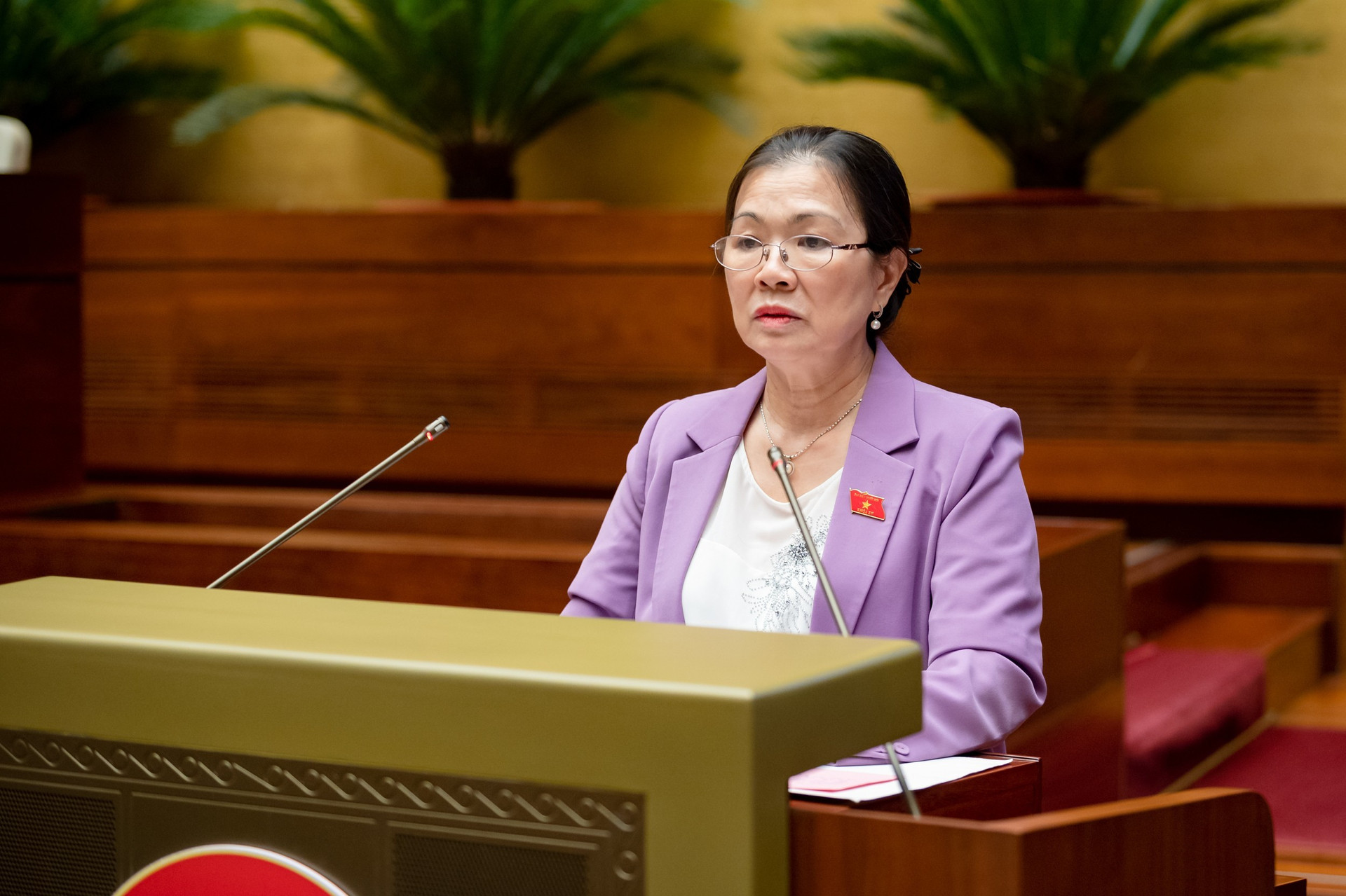 Phó Chủ tịch UBTƯMTTQ Việt Nam Trương Thị Ngọc Ánh phát biểu tại hội nghị.