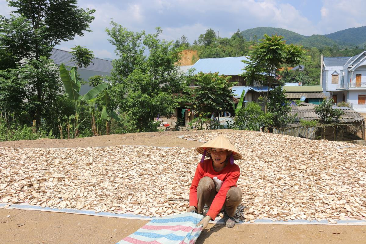 Đồng bào các dân tộc thiểu số khu vực miền núi tỉnh Sơn La đang rất cần vốn để phát triển sản xuất. Ảnh: bienphong.com.vn