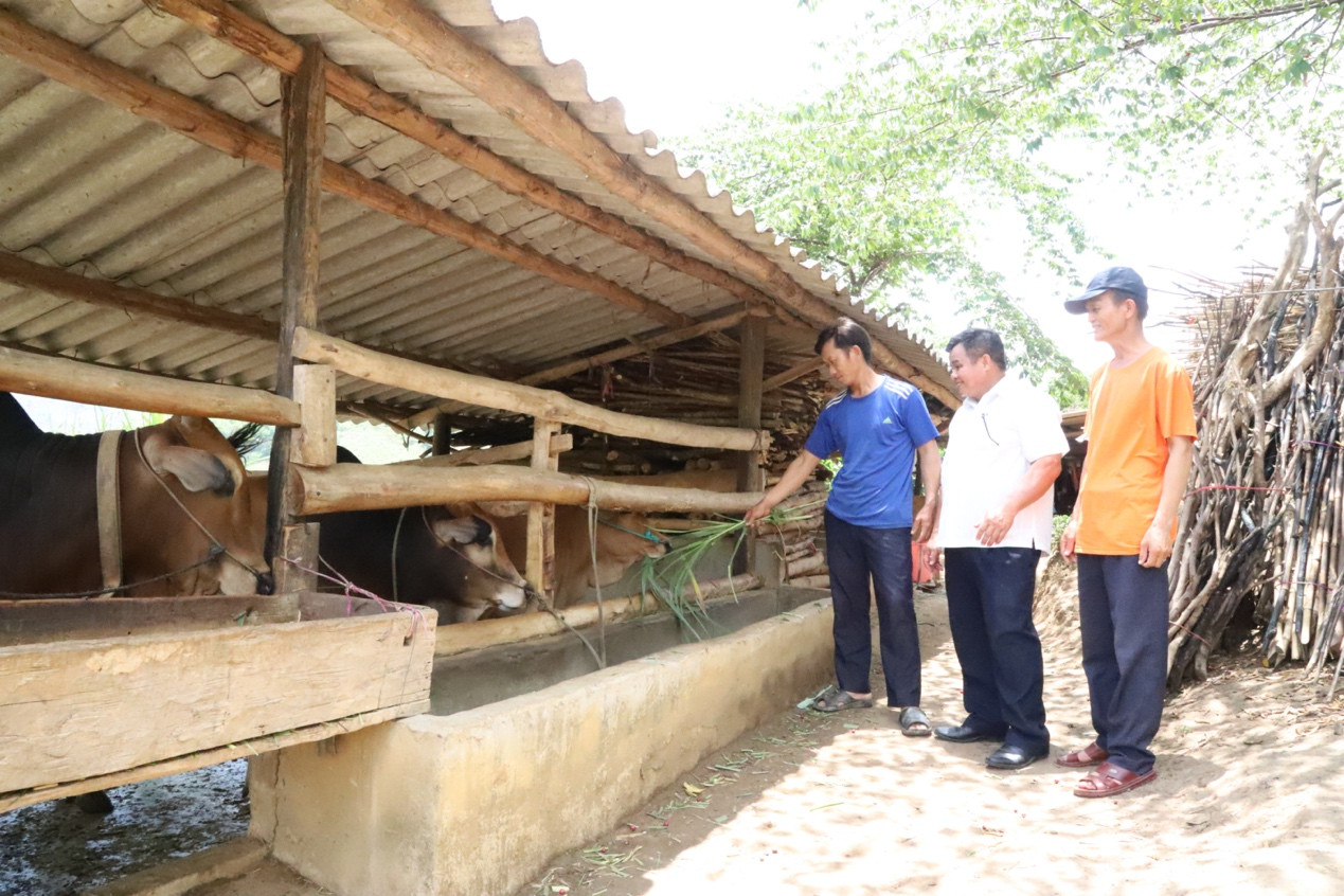 Cán bộ phụ nữ xã Ea Tul, huyện Cư M’gar hướng dẫn hội viên chăm sóc dê, bò theo mô hình chuyển đổi cây trồng, vật nuôi phù hợp, đời sống vật chất, tinh thần của đồng bào DTTS ngày một nâng lên.