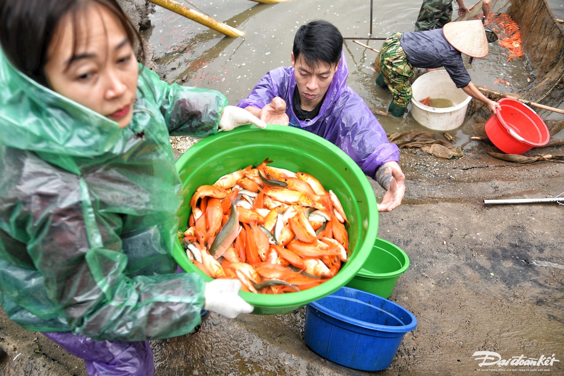 W_lang_ca_chep_phu_tho-le-khanh4.jpg