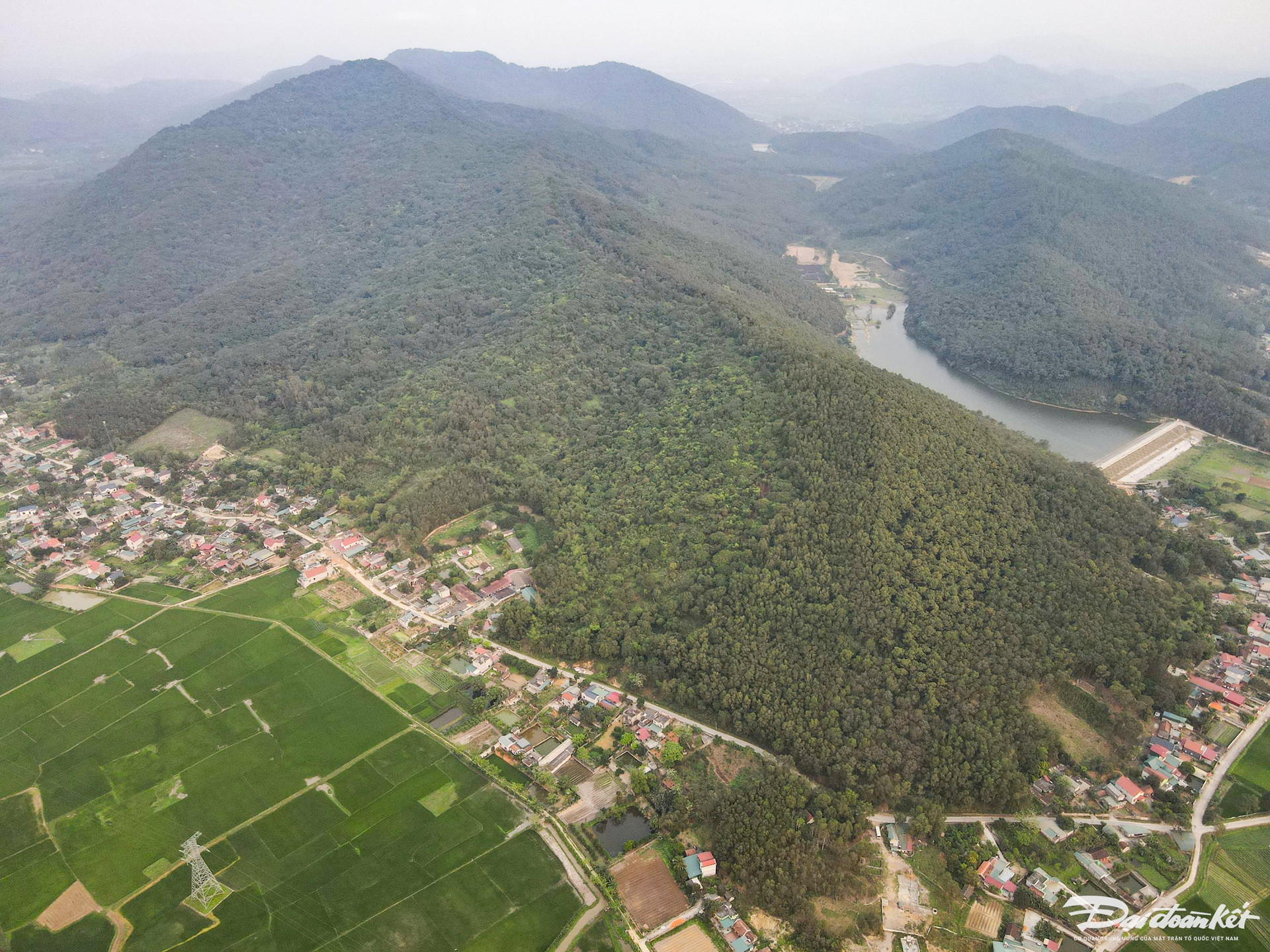 Rừng sến Tam Quy nằm trên địa bàn 3 xã của huyện Hà Trung gồm: Hà Tân, Hà Đông và Hà Lĩnh và cách TP Thanh Hoá 25 km. Ảnh: Đình Minh