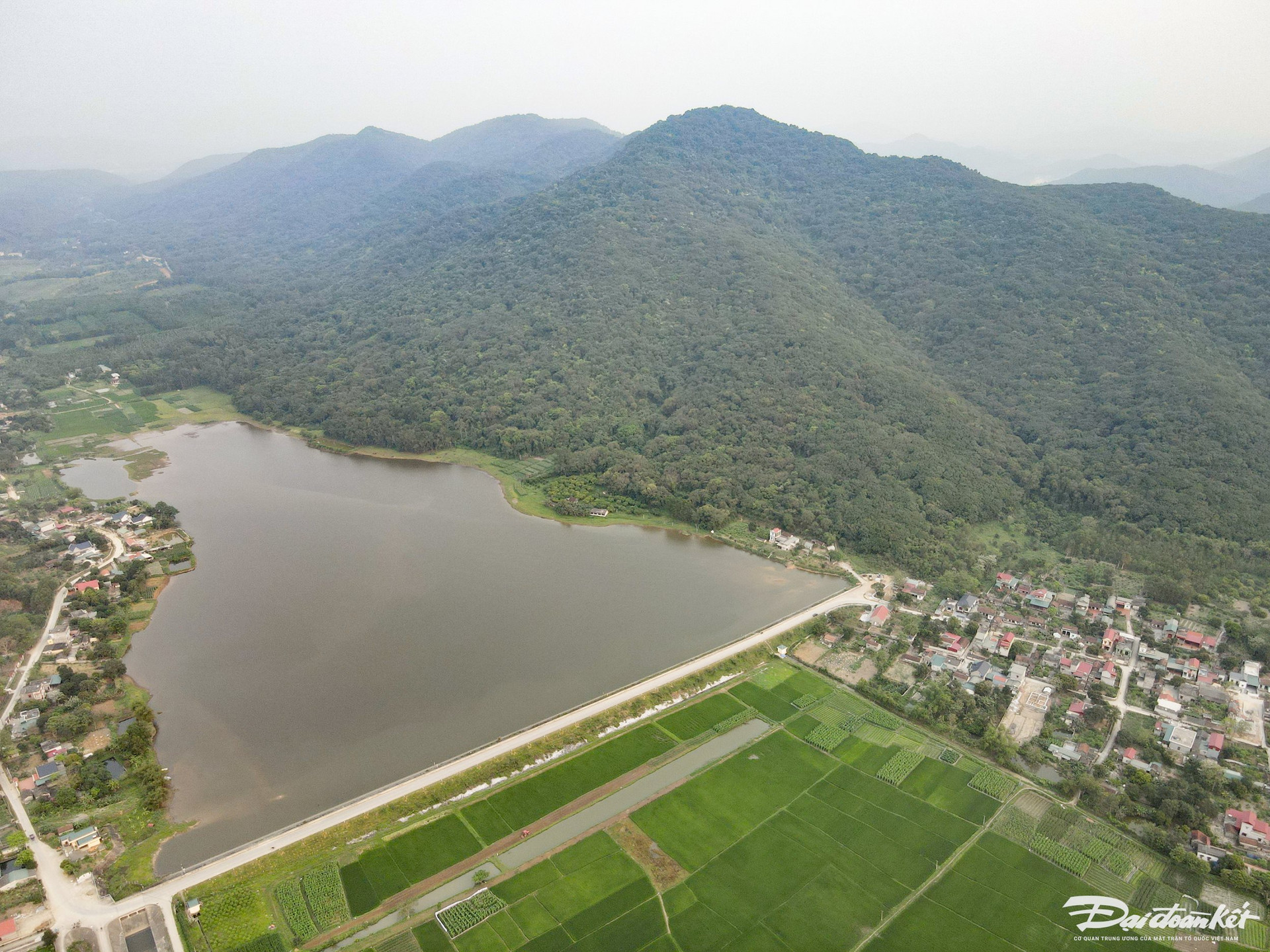 Với diện tích rộng hơn 500 ha, rừng sến Tam Quy được xem là khu bảo tồn loài sến mật duy nhất ở Việt Nam và lớn nhất Đông Nam Á. Ảnh: Đình Minh