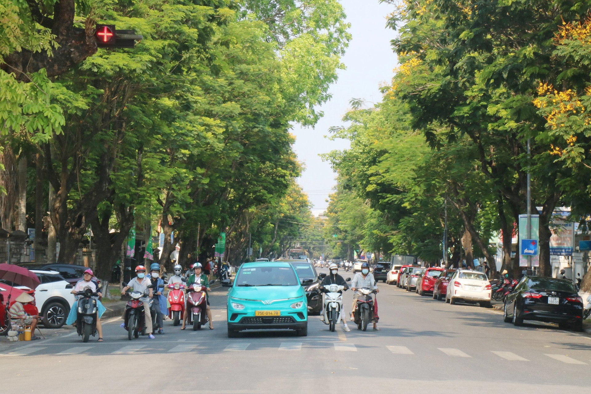 Những ngày này, khắp các tuyến đường trung tâm thành phố Huế như Nguyễn Huệ, Ngô Quyền, Trần Hưng Đạo, Lê Huân... những cây hoa điệp vàng đua nở, tạo nên một không gian rực rỡ đầy sắc màu.